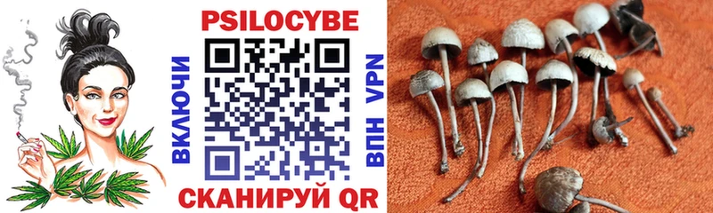 Галлюциногенные грибы ЛСД  Сольцы 