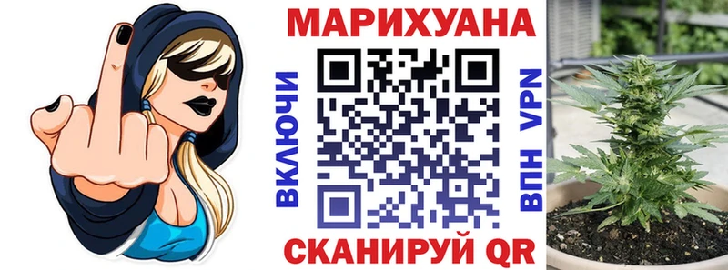 ссылка на мегу tor  где купить наркоту  Сольцы  Шишки марихуана сатива 
